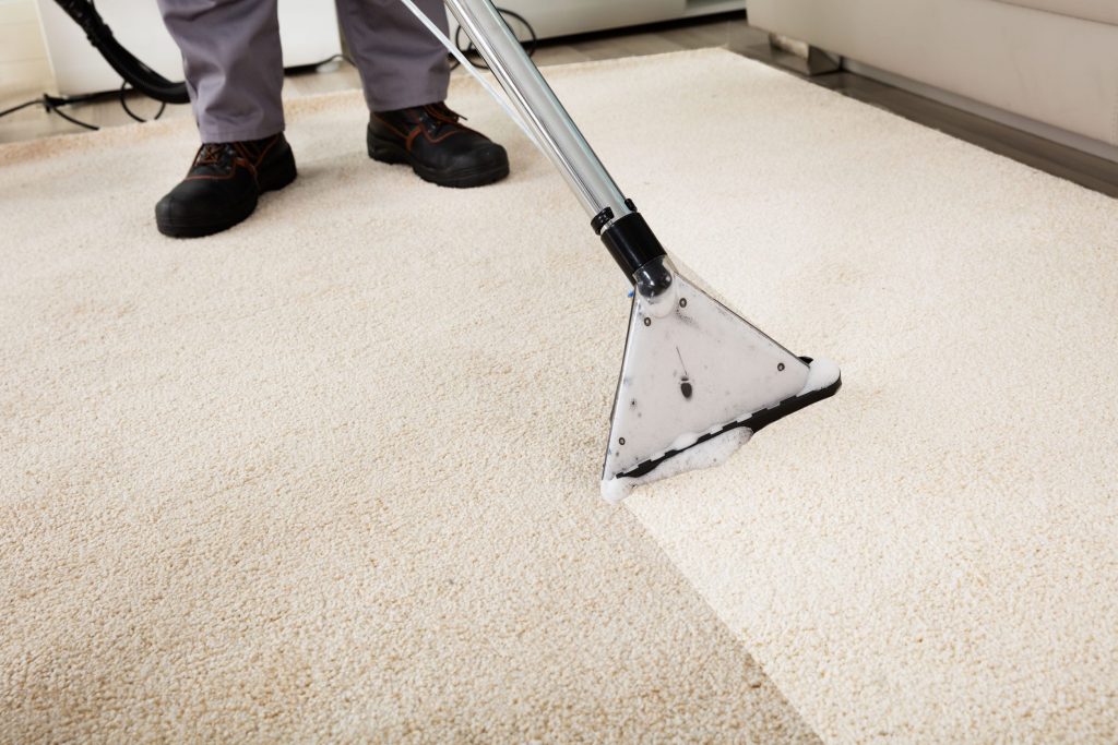 Best Carpet Cleaning